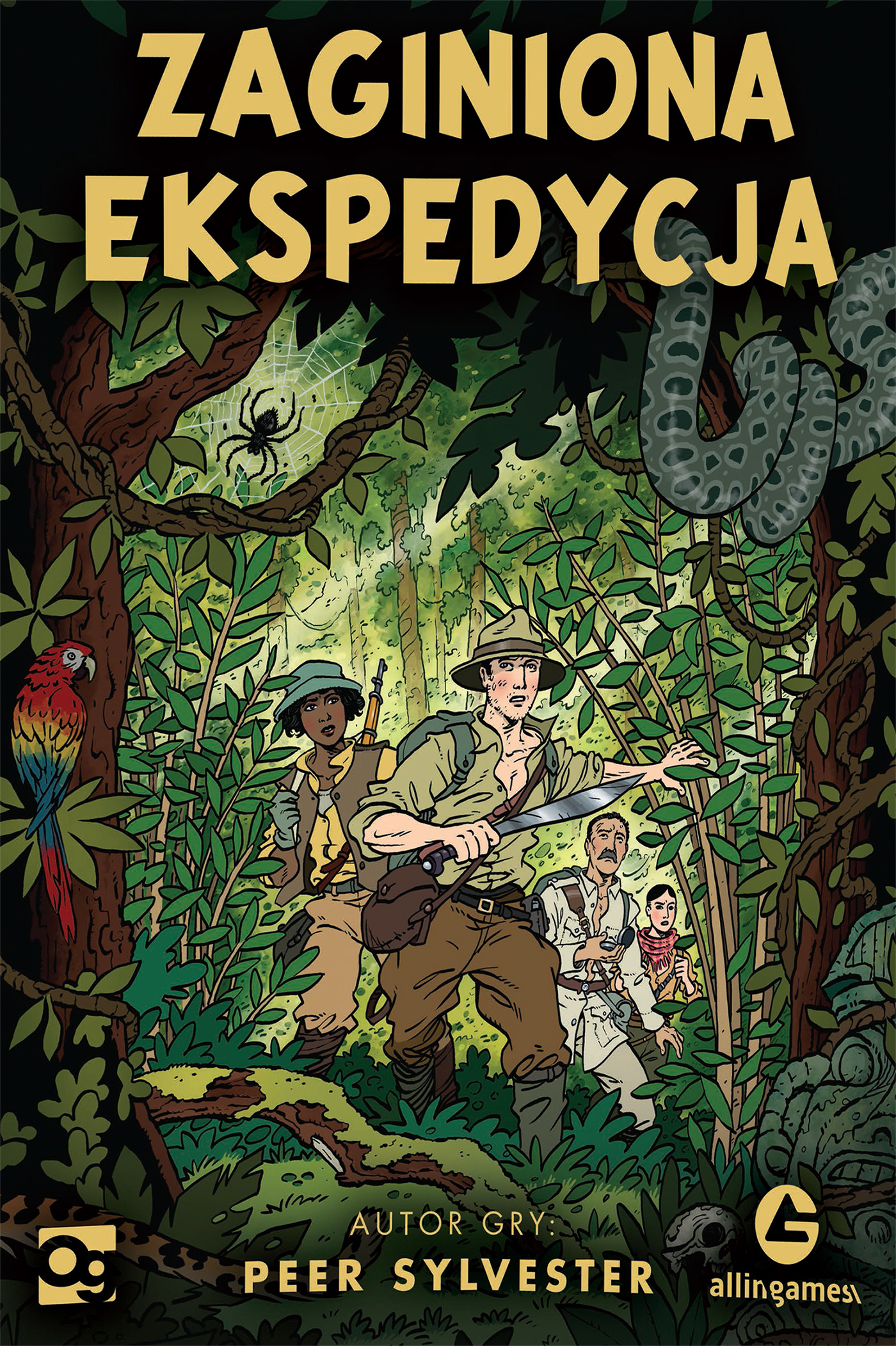 Okładka do Zaginiona ekspedycja